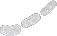 tail